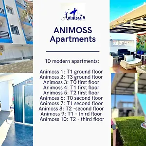  Appartement Animos! - 10 Modern Near The & Beach, Perfect For Nomads, Travellers, Families, Watersports!